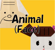 Human face