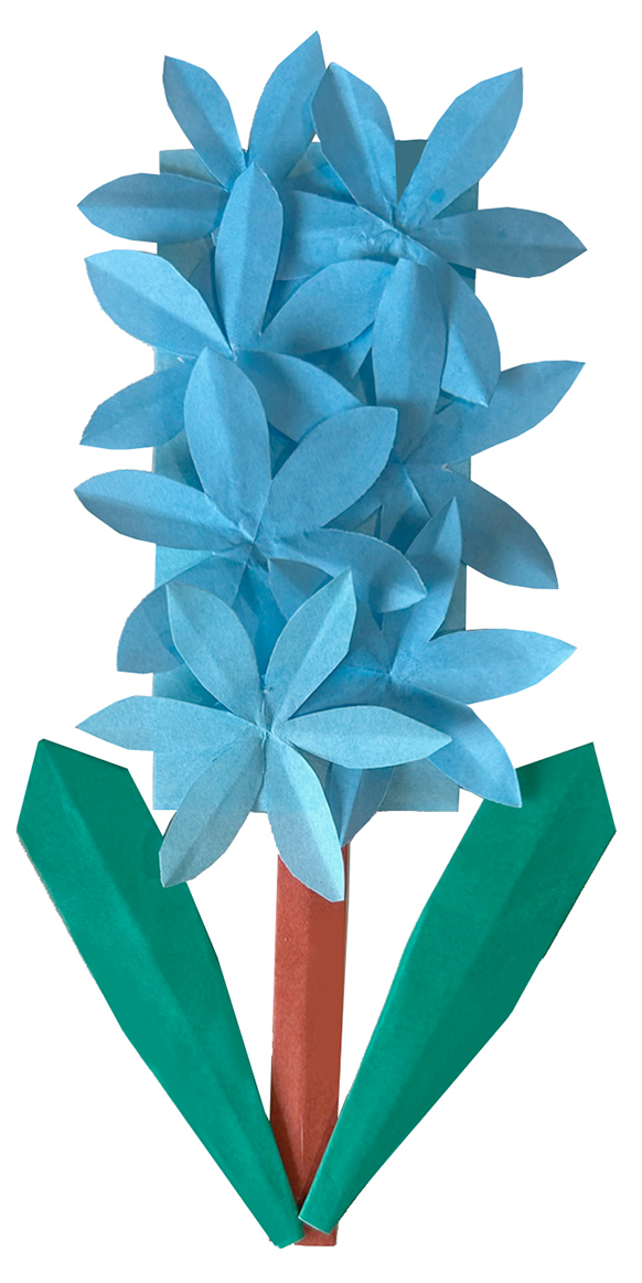 poinsettia2
