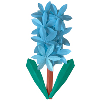 Hyacinth