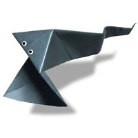 Pelican eel